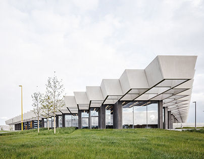 Посвященный псковичам-декабристам комплекс открылся в Псковском музее