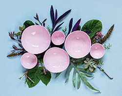 Волонтер из Брянска Ариана Барановская стала участницей встречи с Президентом России Владимиром Путиным и вместе с ним открыла Елку желаний