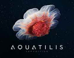 Конькобежка Лобышева и шахматист Карякин провели зарядку на выставке Россия