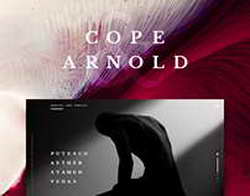 В Турции полицейский расстрелял коллег в участке