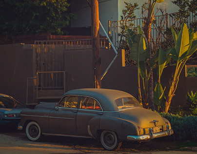 Россияне смогут узнать свой социальный портрет