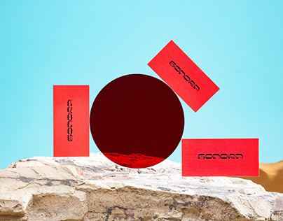 На Украине появилась еще одна команда людоловов