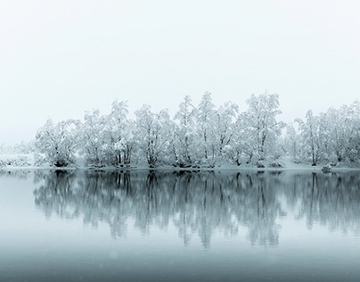 Цены на мандарины в Барнауле оказались одними из самых высоких в стране